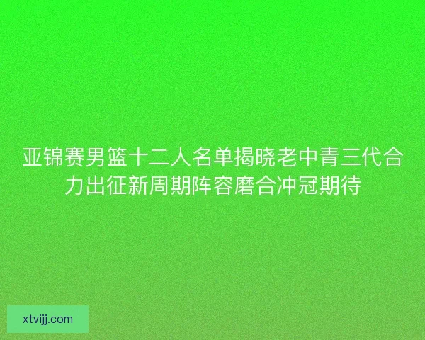亚锦赛男篮十二人名单揭晓老中青三代合力出征新周期阵容磨合冲冠期待